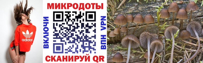 Галлюциногенные грибы ЛСД  Кочубеевское 